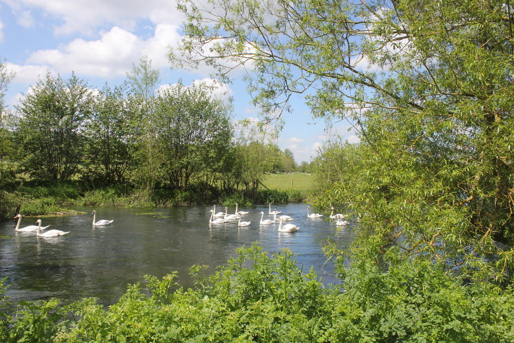 The Swan At Stoford Hotel Stapleford  Buitenkant foto