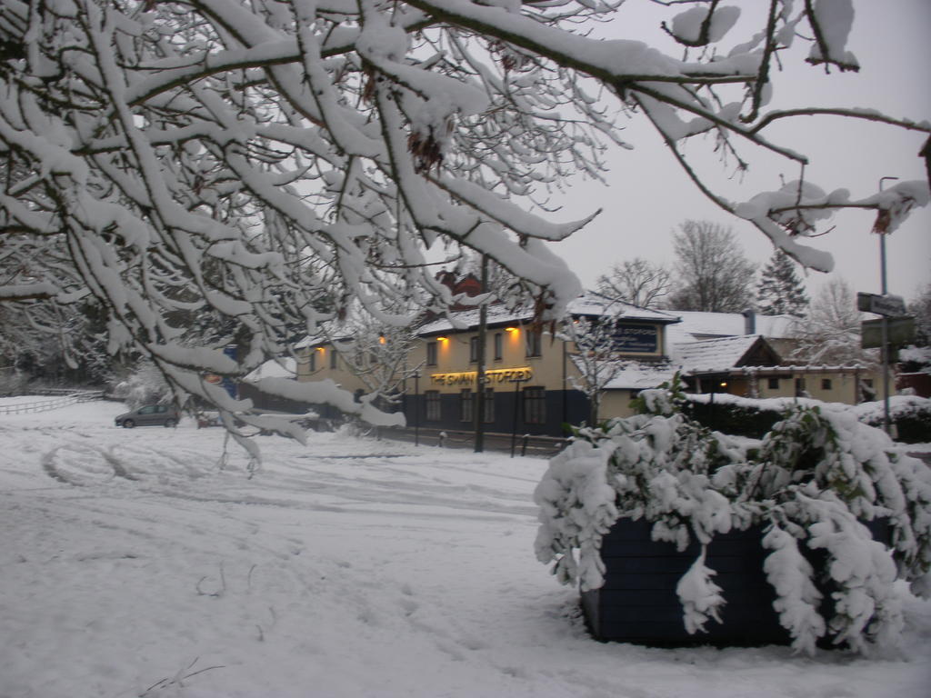 The Swan At Stoford Hotel Stapleford  Buitenkant foto